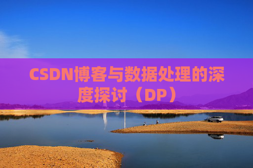 CSDN博客与数据处理的深度探讨（DP）